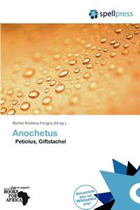 Anochetus