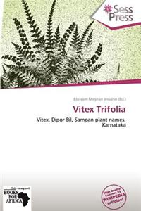 Vitex Trifolia