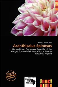 Acanthixalus Spinosus