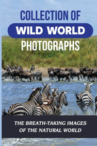 Collection Of Wild World Photographs