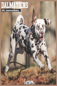 Dalmatiens 2021 Wall Calendar