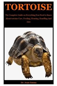 Tortoise