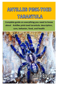 Antilles Pink-Toed Tarantula