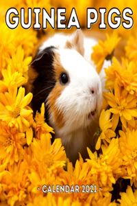 Guinea Pigs Calendar 2021