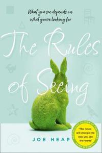 RULES OF SEEING EX AI TPB
