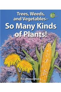 Trees, Weeds, and Vegetables: So Many Kinds of Plants!