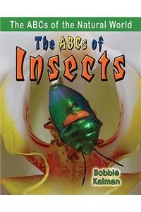 ABCs of Insects