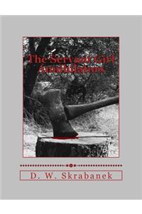 Servant Girl Annihilators