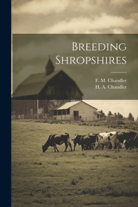 Breeding Shropshires