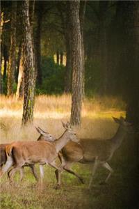 A Herd of Deer in the Woods Journal