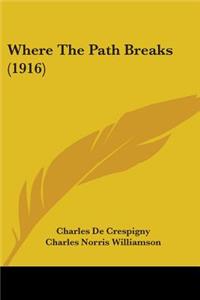 Where The Path Breaks (1916)