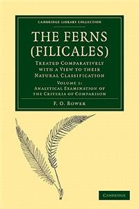 Ferns (Filicales)