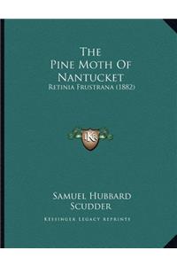 The Pine Moth Of Nantucket