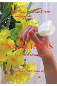 Narcissus