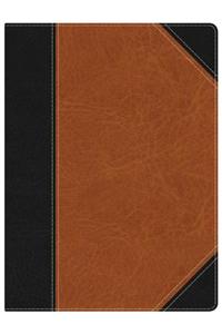 HCSB Study Bible, Black/Brown Leathertouch