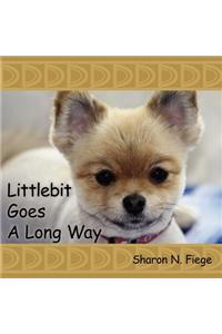 Littlebit Goes a Long Way