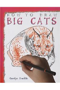 How to Draw Big Cats