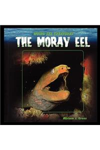 Moray Eel