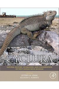 Cyclura