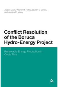 Conflict Resolution of the Boruca Hydro-Energy Project