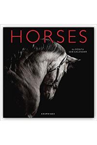 Horses 2018 Calendar
