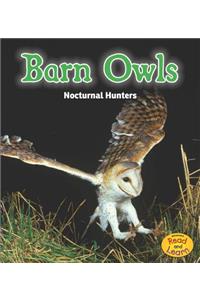 Night Safari Barn Owls Nocturnal Hunters
