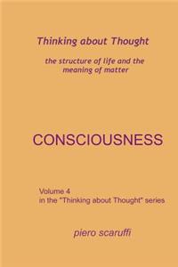 Thinking about Thought 4 - Consciousness