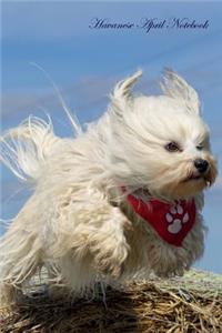 Havanese April Notebook Havanese Record, Log, Diary, Special Memories, To Do List, Academic Notepad, Scrapbook & More