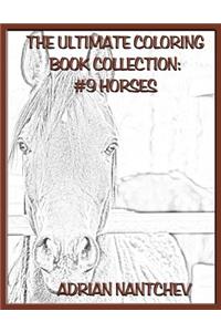 The Ultimate Coloring Book Collection #9 Horses