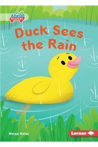 Duck Sees the Rain