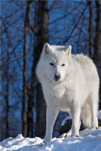 Magnificent White Arctic Wolf in the Snow Journal