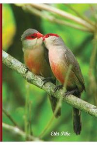 Ethi Pike - Lovebirds Notebook / Extended Lines / Soft Matte Cover
