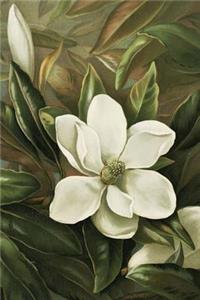 Magnolia Grandiflora: Journal