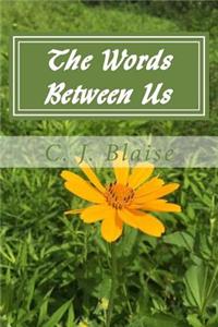 Words Between Us