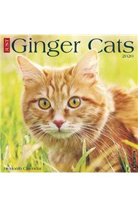 Just Ginger Cats 2020 Wall Calendar