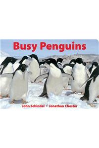 Busy Penguins