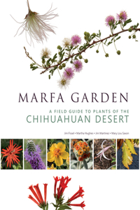 Marfa Garden