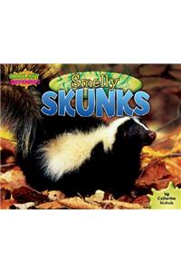 Smelly Skunks