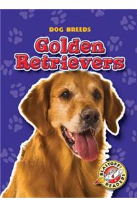 Golden Retrievers
