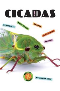 Cicadas