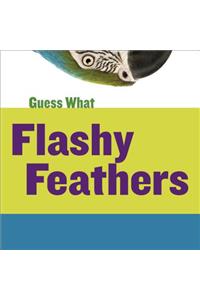 Flashy Feathers