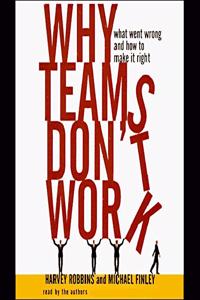 Why Teams Don't Work