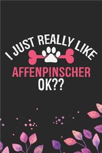 I Just Really Like Affenpinscher Ok?: Cool Affenpinscher Dog Journal Notebook - Affenpinscher Puppy Lover Gifts - Funny Affenpinscher Dog Notebook - Affenpinscher Owner Gifts. 6 x 9 in 1
