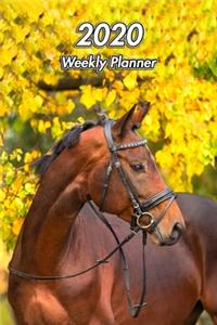 2020 Weekly Planner