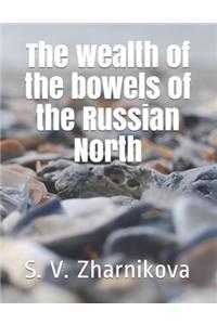 The wealth of the bowels of the Russian North
