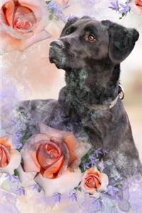 Black Lab Journal