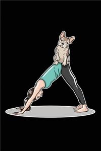 French Bulldog On Woman