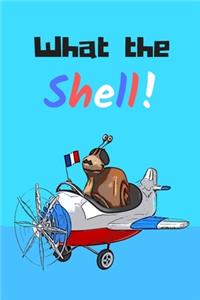 What the shell! - Notebook