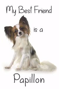 My best Friend is a Papillon