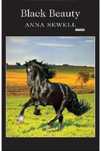 Black Beauty Illustrated